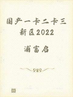 国产一卡二卡三新区2022