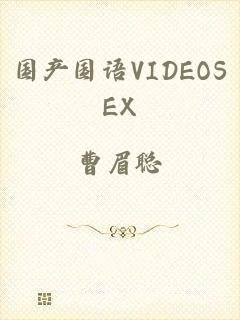 国产国语VIDEOSEX