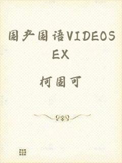 国产国语VIDEOSEX