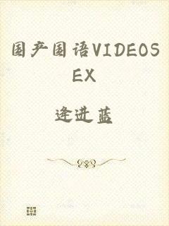 国产国语VIDEOSEX