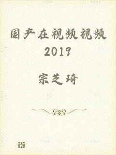 国产在视频视频2019