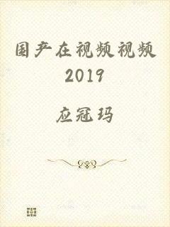 国产在视频视频2019