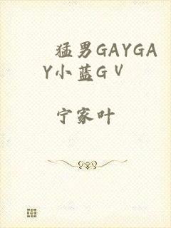 國産猛男GAYGAY小蓝GⅤ