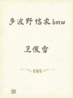 多波野结衣bmw