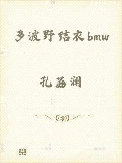 多波野结衣bmw