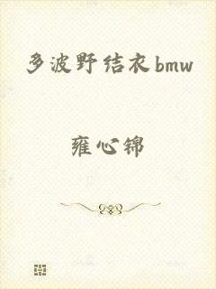 多波野结衣bmw