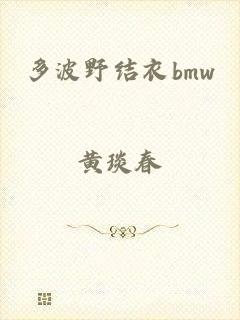 多波野结衣bmw