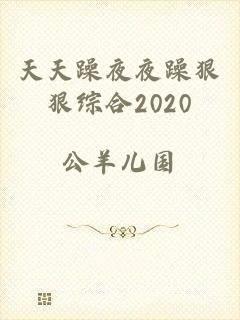 天天躁夜夜躁狠狠综合2020