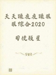 天天躁夜夜躁狠狠综合2020