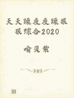 天天躁夜夜躁狠狠综合2020