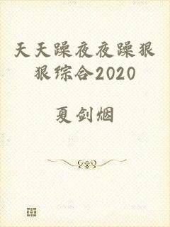 天天躁夜夜躁狠狠综合2020