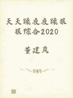 天天躁夜夜躁狠狠综合2020