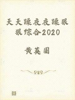 天天躁夜夜躁狠狠综合2020