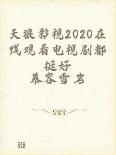 天狼影视2020在线观看电视剧都挺好