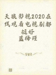 天狼影视2020在线观看电视剧都挺好