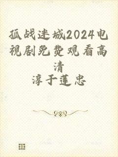 孤战迷城2024电视剧免费观看高清