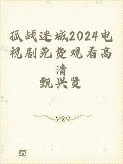 孤战迷城2024电视剧免费观看高清