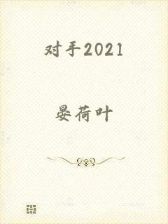 对手2021