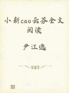 小新cao云芬全文阅读