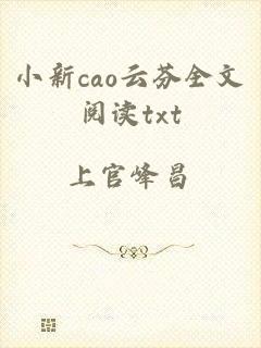 小新cao云芬全文阅读txt