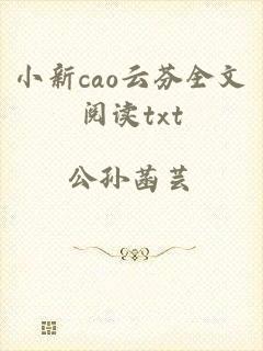 小新cao云芬全文阅读txt