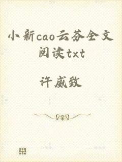 小新cao云芬全文阅读txt