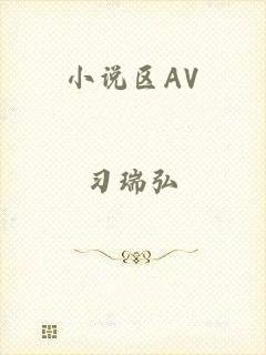 小说区AV