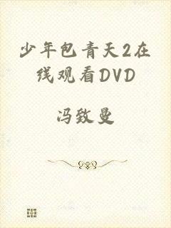 少年包青天2在线观看DVD