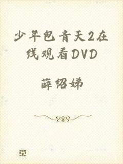 少年包青天2在线观看DVD