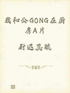 我和公GONG在厨房A片