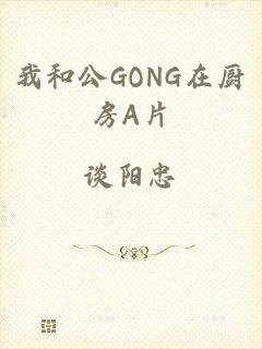 我和公GONG在厨房A片