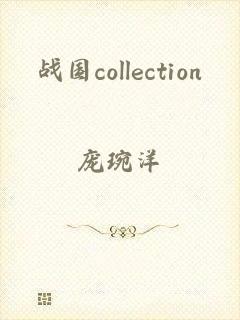 战国collection