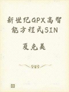 新世纪GPX高智能方程式SIN