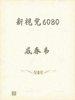 新视觉6080