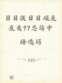 日日摸日日碰夜夜爽97总站中