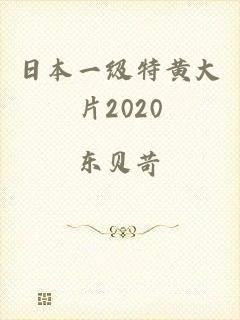 日本一级特黄大片2020