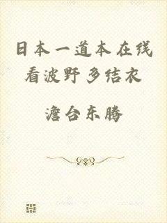 日本一道本在线看波野多结衣