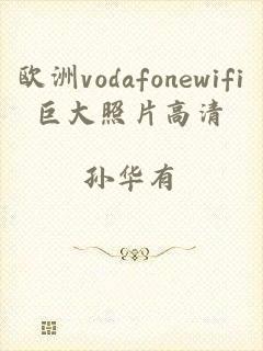 欧洲vodafonewifi巨大照片高清