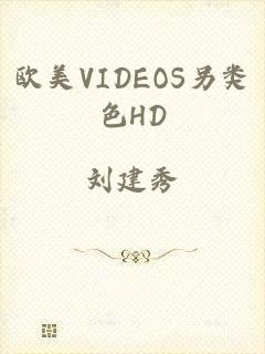 欧美VIDEOS另类色HD