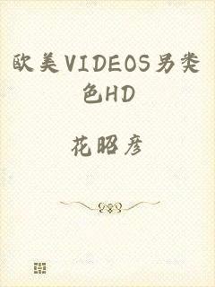 欧美VIDEOS另类色HD