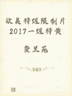 欧美特级限制片2017一级特黄