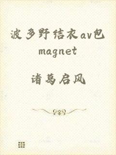 波多野结衣av包magnet