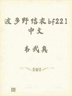 波多野结衣bf221中文