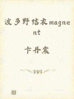 波多野结衣magnent