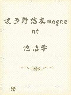 波多野结衣magnent