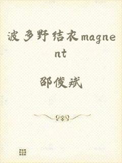 波多野结衣magnent