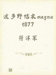 波多野结衣magnet877