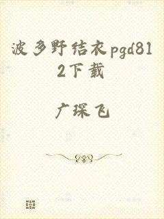 波多野结衣pgd812下载