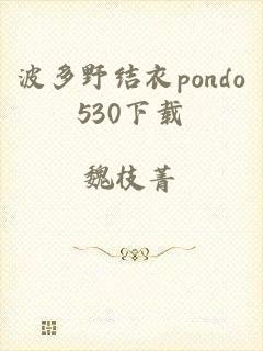 波多野结衣pondo530下载