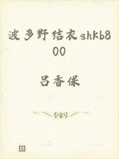 波多野结衣shkb800